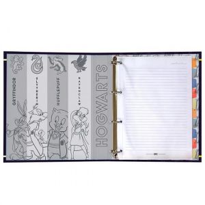 Caderno Argolado Com Elástico Warner 100 Anos 4465 Dac