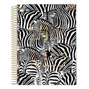 Caderno Espiral Universitário (Grande) 1 Matéria 80 Folhas Capa Dura Wild Jandaia - Envio de Capas Conforme Disponibilidade do Estoque