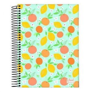 Caderno Espiral Universitário (Grande) 15 Matérias 240 Folhas Capa Dura School Basics Jandaia - Envio de Capas Conforme Disponibilidade do Estoque