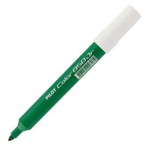 Caneta Pilot Color 850 Verde Pilot